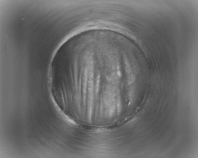 X0000068851522200605191938