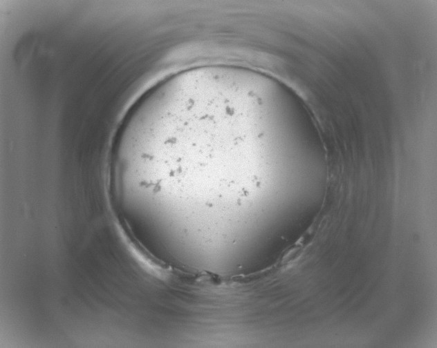 X0000068851523200605191938