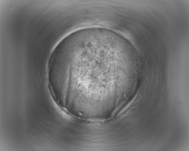 X0000068851524200605191938