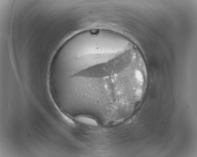 X0000068851525200605191938