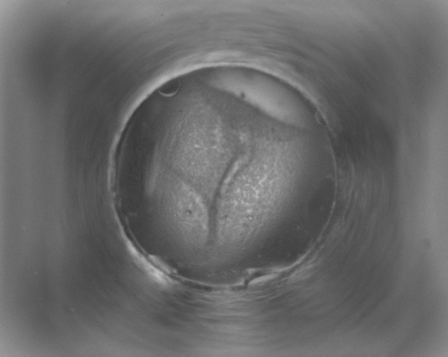 X0000068851527200605191938