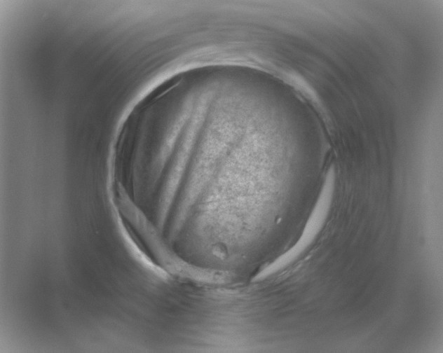 X0000068851528200605191938