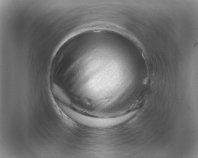 X0000068851530200605191938