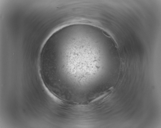 X0000068851531200605191938