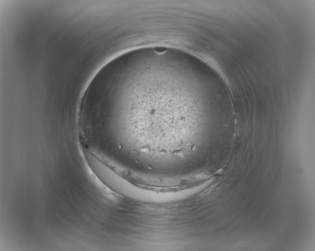 X0000068851532200605191938