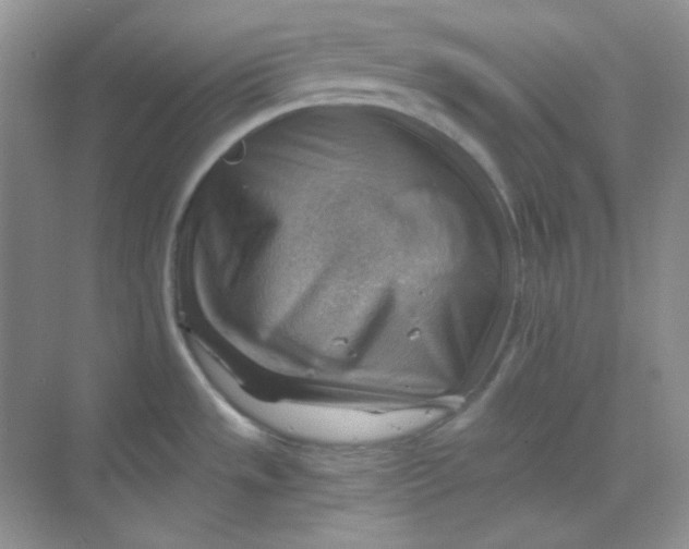 X0000068851533200605191938