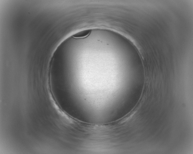 X0000068851534200605191938