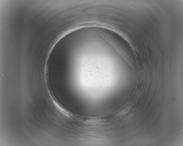 X0000068851535200605191938