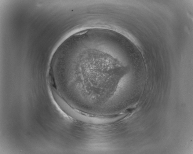 X0000068851536200605191938