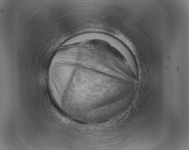 X0000068850009200605261717