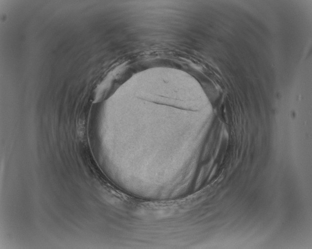 X0000068850033200605261716
