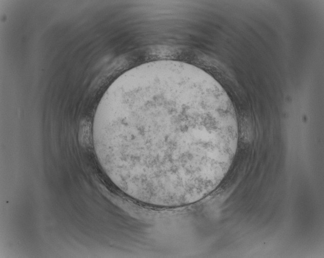 X0000068850036200605261716