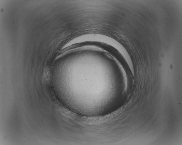 X0000068850037200605261716