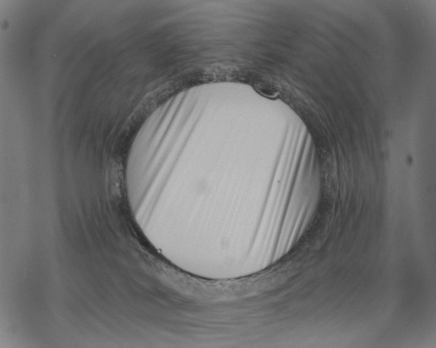 X0000068850038200605261716