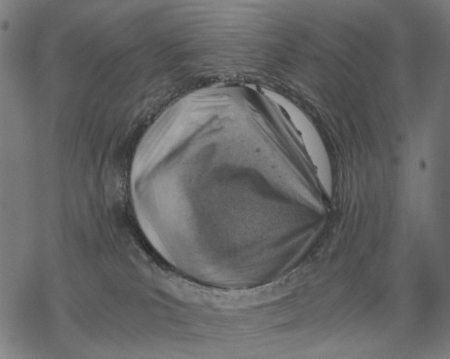 X0000068850039200605261716