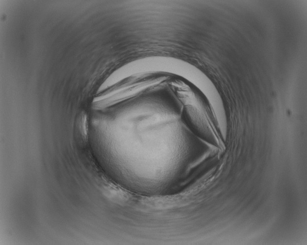 X0000068850041200605261716