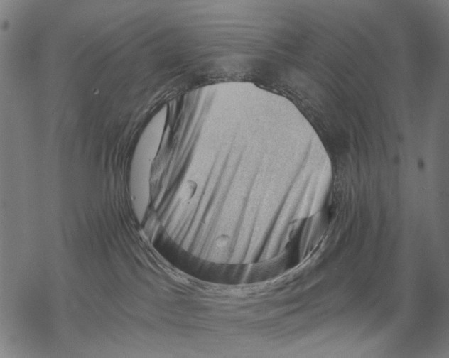 X0000068850045200605261716