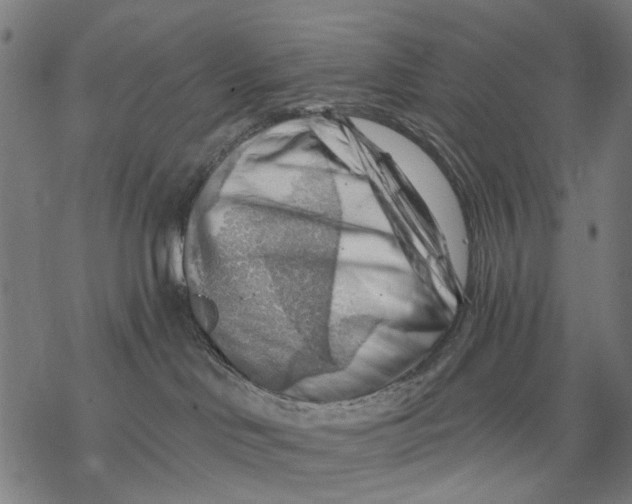 X0000068850046200605261716