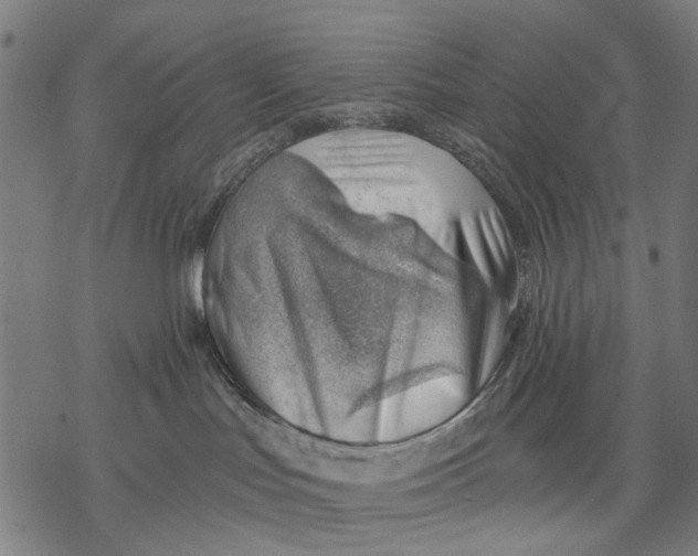 X0000068850047200605261716