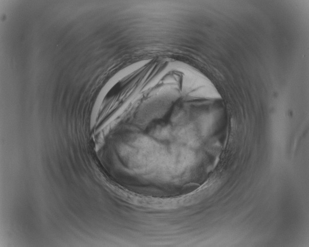 X0000068850048200605261716