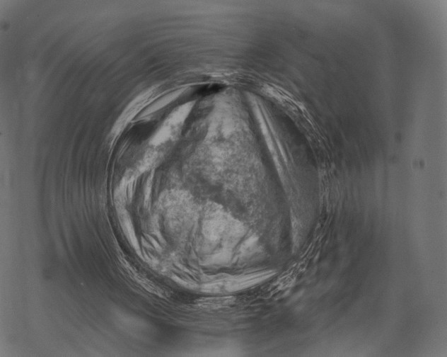 X0000068850051200605261715