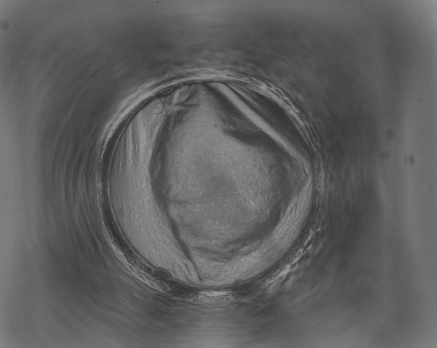 X0000068850055200605261716