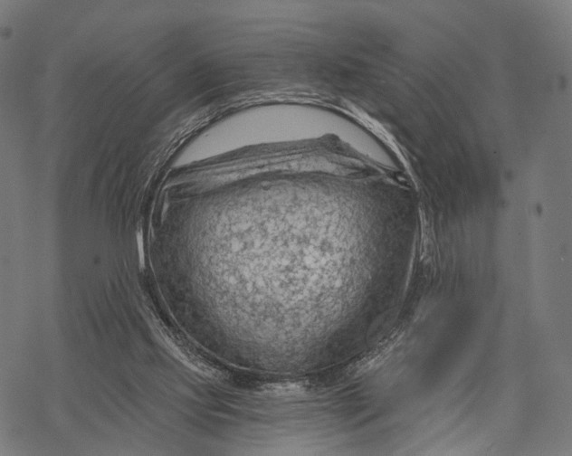 X0000068850061200605261716
