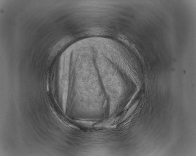 X0000068850062200605261716