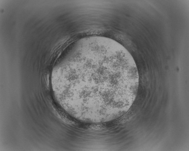 X0000068850070200605261716