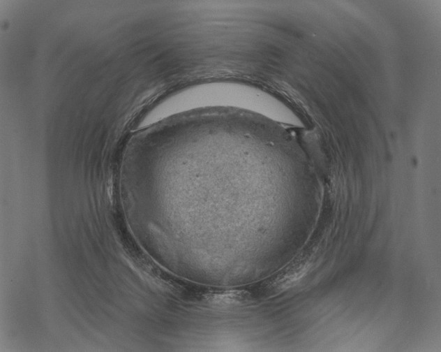 X0000068850072200605261716