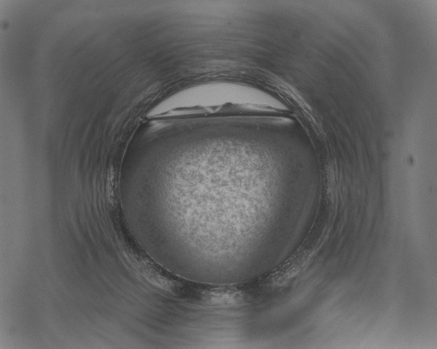 X0000068850073200605261716