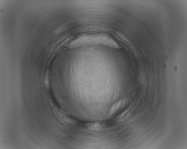 X0000068850074200605261716