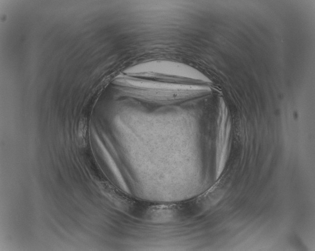X0000068850082200605261716
