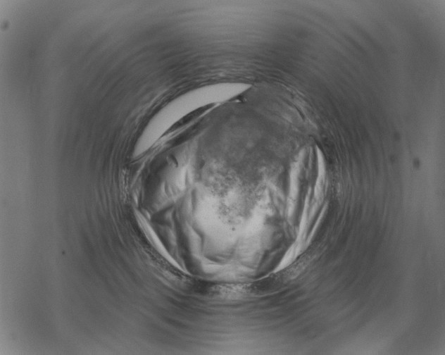 X0000068850093200605261716