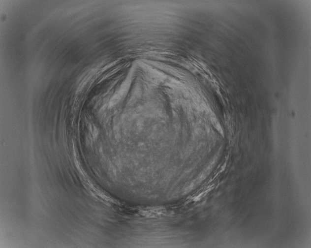 X0000068850097200605261715