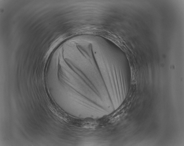 X0000068850099200605261715