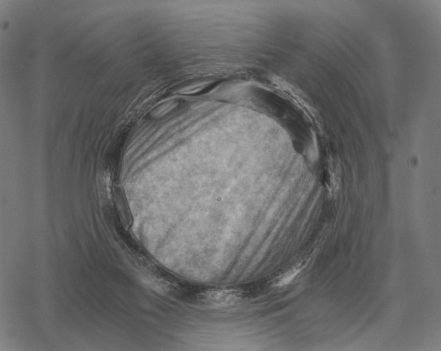 X0000068850117200605261715