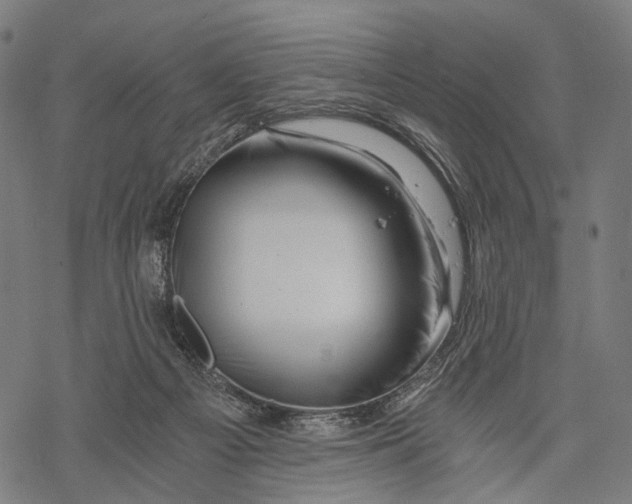 X0000068850121200605261715
