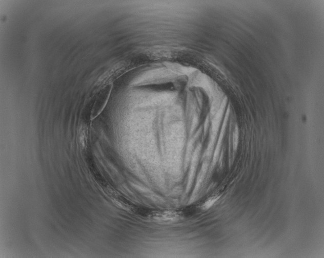 X0000068850125200605261715