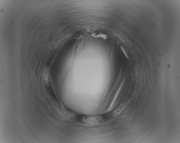 X0000068850129200605261715