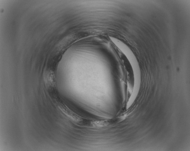 X0000068850141200605261715