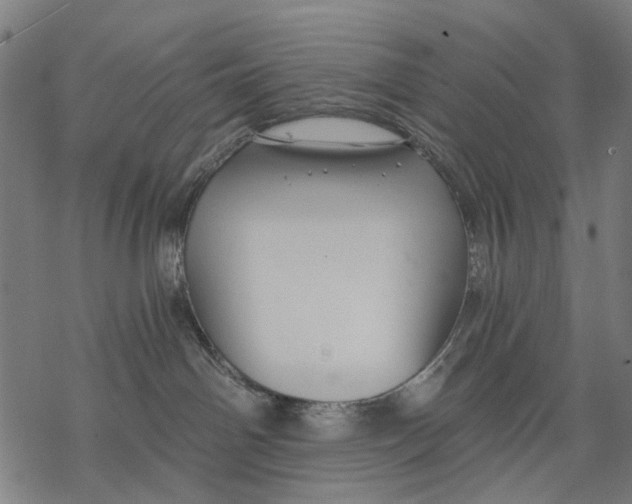 X0000068850142200605261715
