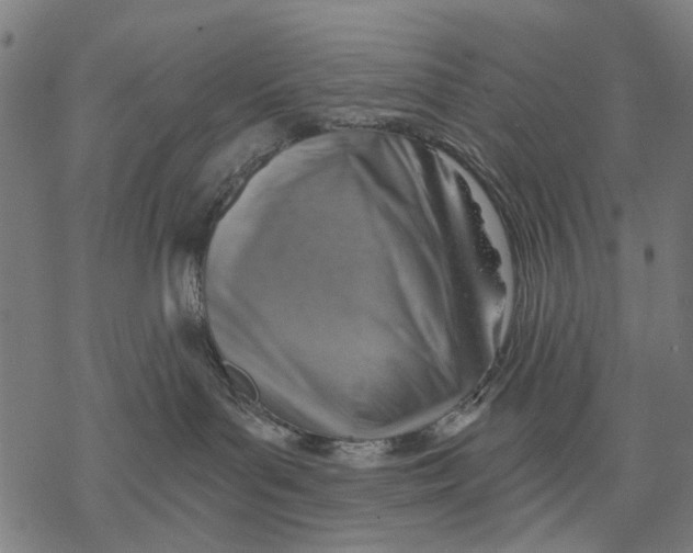 X0000068850143200605261715