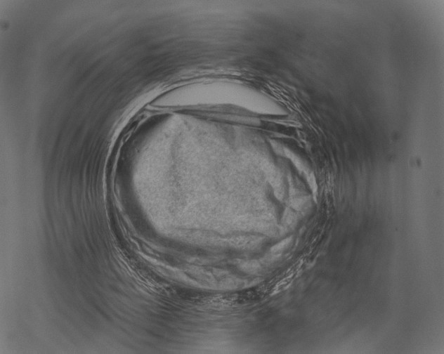 X0000068850148200605261714
