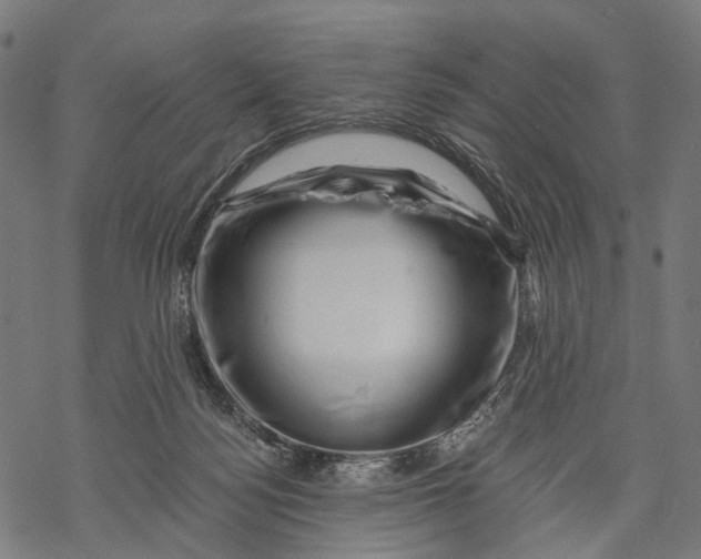 X0000068850172200605261714