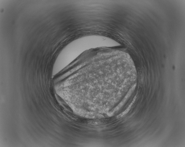 X0000068850174200605261714