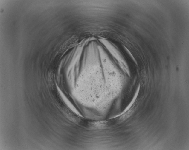 X0000068850184200605261715