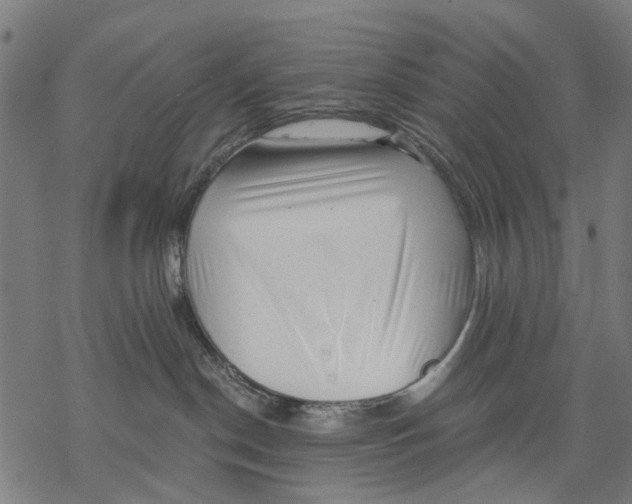 X0000068850190200605261715