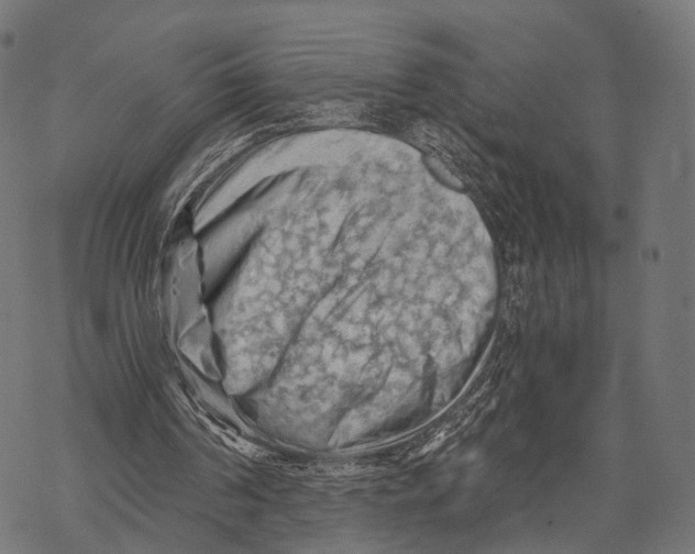 X0000068850194200605261714