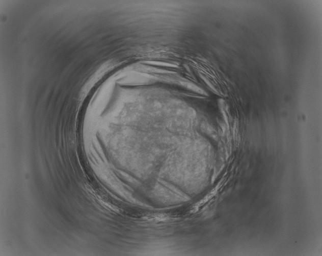 X0000068850195200605261714